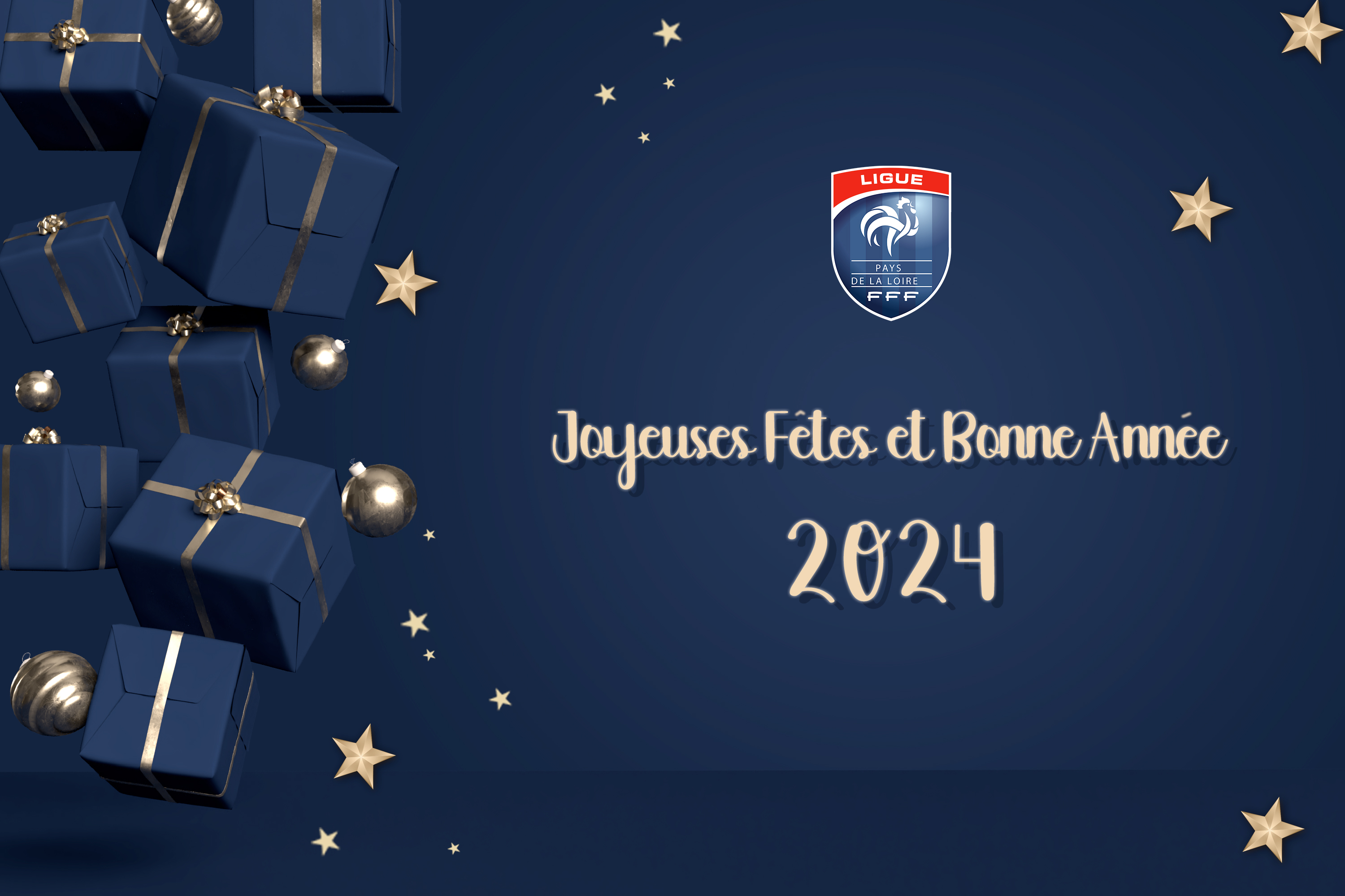 La Ligue vous souhaite une excellente année 2024 ! – Ligue de